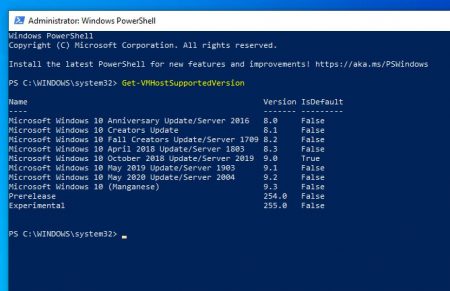 Раскрыто официальное имя Windows 10 версии 2004